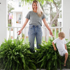 🌲BUY 1 GET 1 FREE (2 PCS)🔥48Inch Large UV Artificial Boston Ferns With Basket--No watering, No fading
