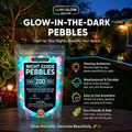 💥LAST DAY SALE 50%OFF💥🌈Colorful Glow-in-the-Dark Garden Stones