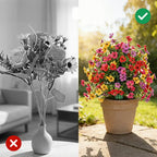 The Secret Behind Picture-Perfect Gardens That Never Need Water (Finally Revealed)
